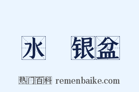 水礶银盆是什么意思的图片
